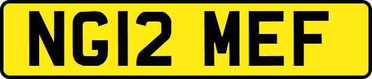 NG12MEF