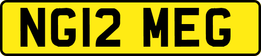 NG12MEG