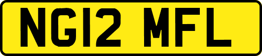 NG12MFL
