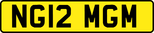 NG12MGM