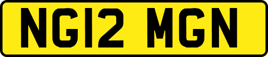 NG12MGN