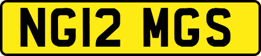 NG12MGS