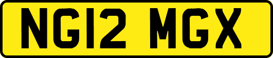 NG12MGX