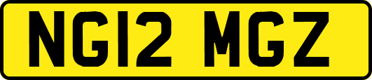 NG12MGZ