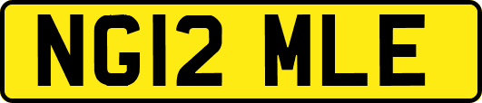 NG12MLE