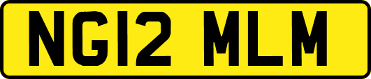 NG12MLM