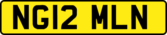 NG12MLN