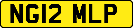 NG12MLP