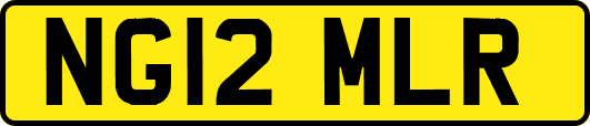 NG12MLR