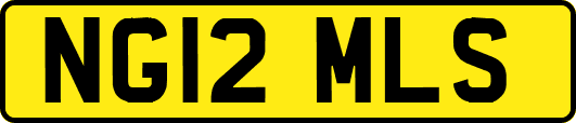 NG12MLS