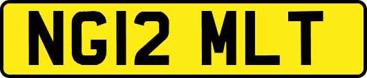 NG12MLT