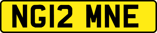 NG12MNE