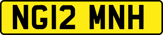 NG12MNH