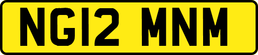 NG12MNM