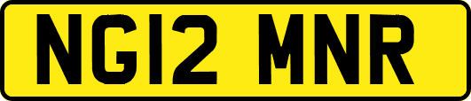 NG12MNR
