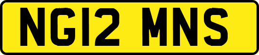 NG12MNS