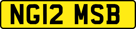 NG12MSB