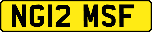 NG12MSF
