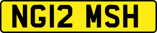 NG12MSH