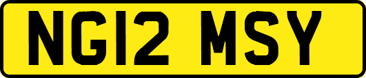 NG12MSY