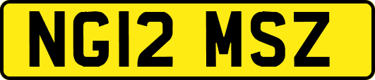 NG12MSZ
