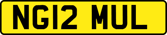 NG12MUL