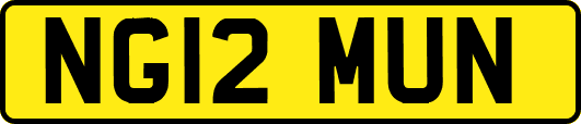 NG12MUN