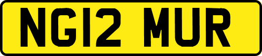 NG12MUR