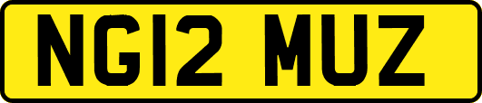 NG12MUZ