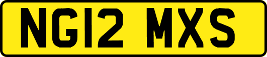NG12MXS
