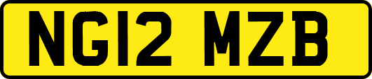 NG12MZB