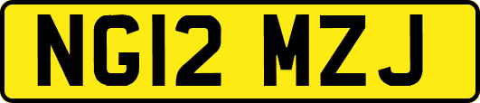 NG12MZJ