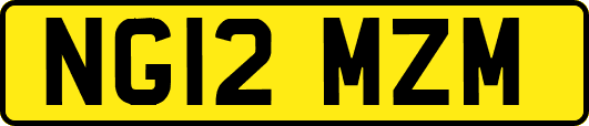 NG12MZM