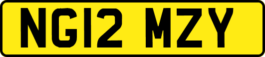 NG12MZY