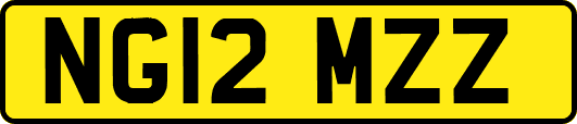 NG12MZZ