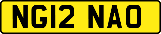 NG12NAO