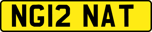 NG12NAT