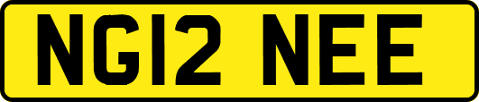 NG12NEE