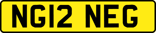 NG12NEG