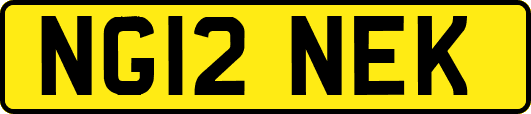 NG12NEK