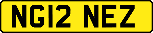 NG12NEZ