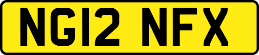 NG12NFX