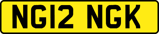 NG12NGK