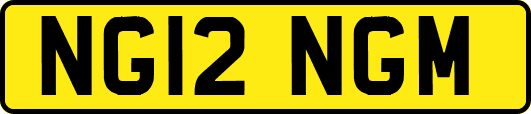 NG12NGM