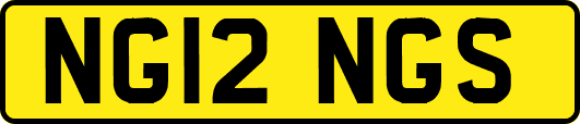 NG12NGS