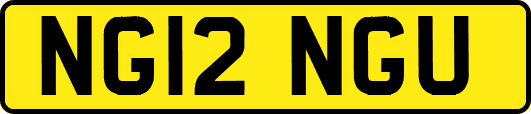 NG12NGU