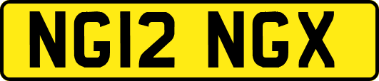 NG12NGX