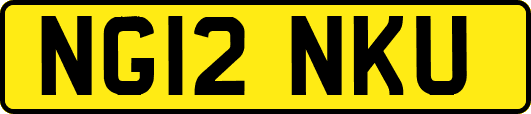 NG12NKU