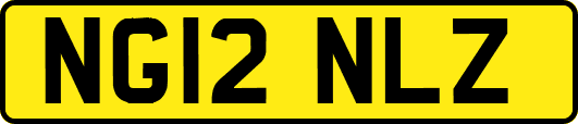 NG12NLZ