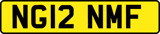 NG12NMF